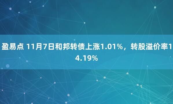 盈易点 11月7日和邦转债上涨1.01%,转股溢价率14.19%