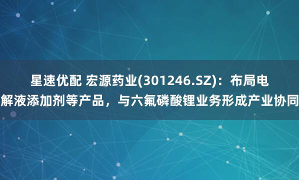 星速优配 宏源药业(301246.SZ)：布局电解液添加剂等产品，与六氟磷酸锂业务形成产业协同