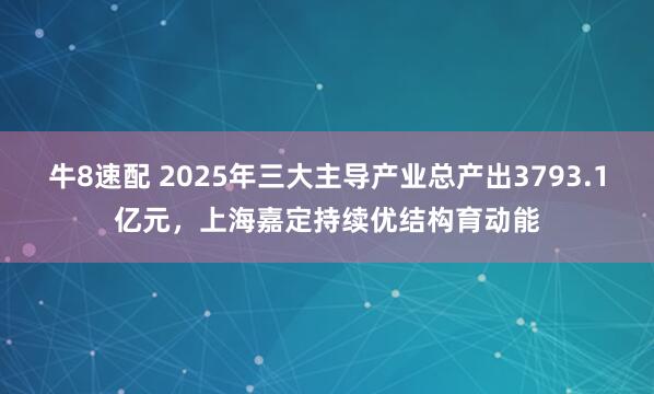 牛8速配 2025年三大主导产业总产出3793.1亿元，上海嘉定持续优结构育动能